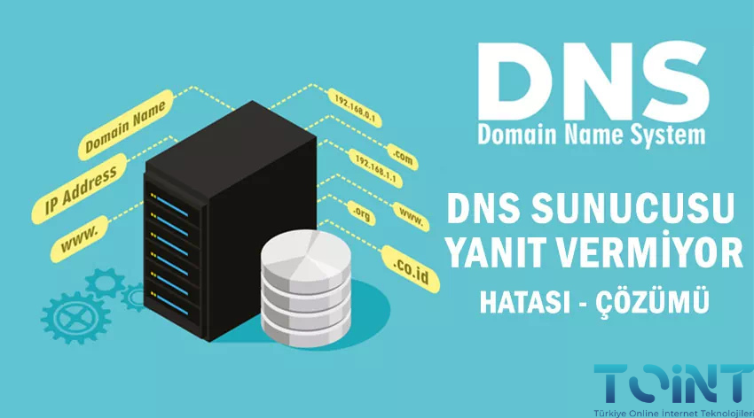 DNS Sunucusu
