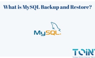 MySQL Backup