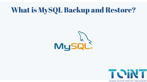 MySQL Backup