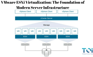 VMware ESXi Virtualization